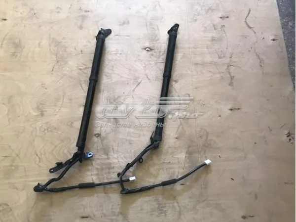 Amortecedor de tampa de porta-malas (de 3ª/5ª porta traseira) 6892049065 Toyota