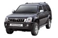 Great Wall Pegasus (2007 - 2025)